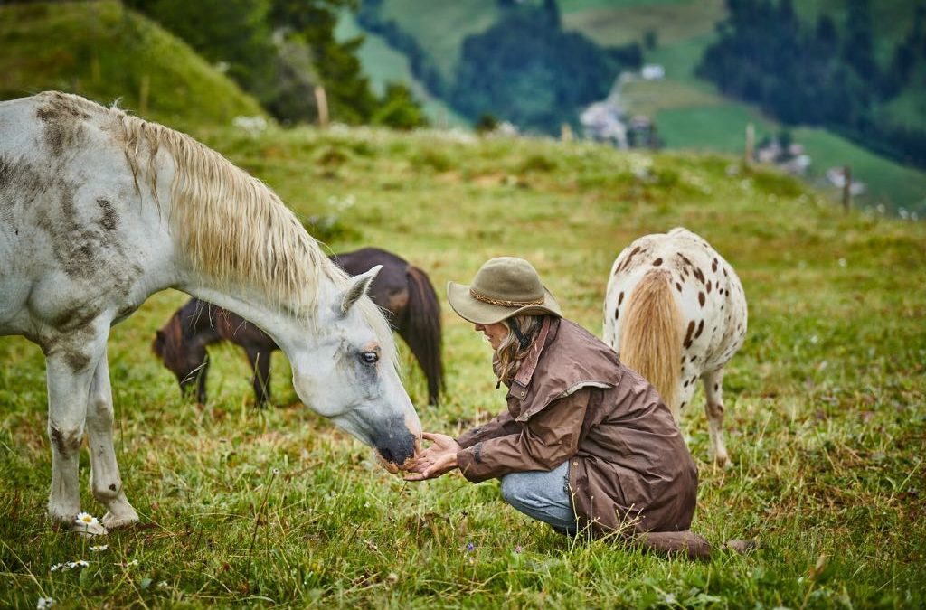 Terra Materna – Nourishing day in the horse herd – Ostara