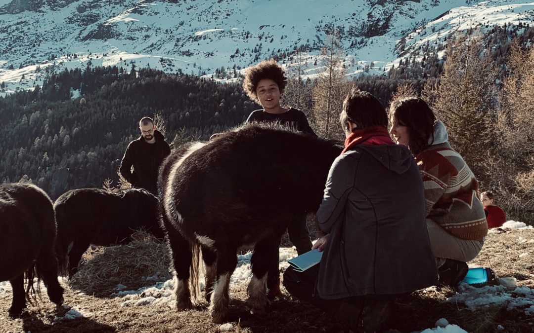 Sitz einfach – mitten in der Pferdeherde – Nährtag