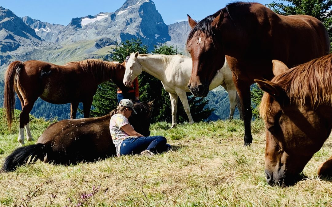 “Breath of transformation” – Retreat with horses #Earth
