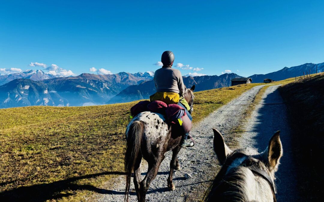 „Ein Weg wird klar“ – 1 :1 Transformative Wanderritte 3-7 Tage