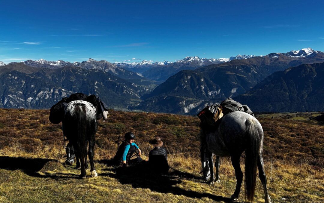 „Ein Weg wird klar“ – 1:1 Transformative Wanderritte 3-7 Tage